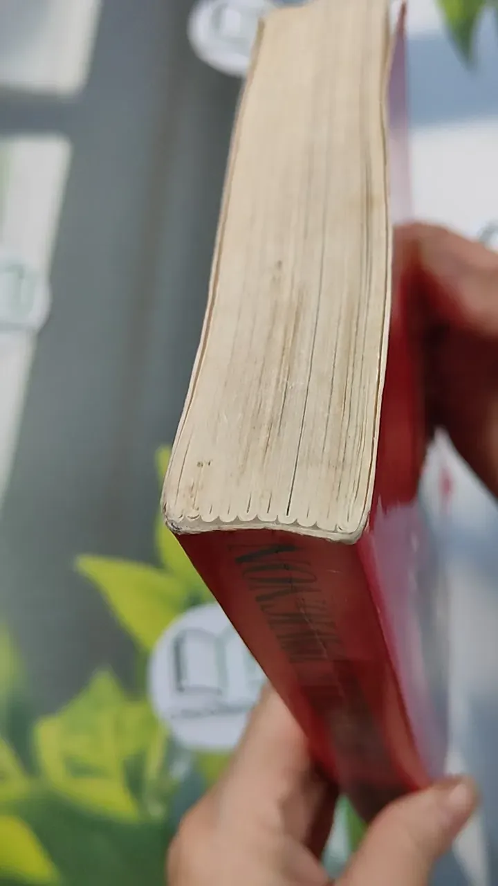 [MIỄN PHÍ BỌC SÁCH] [XƯA] La Demoiselle d'Avignon (1982) - Frédérique Hébrard & Louis Velle 754526