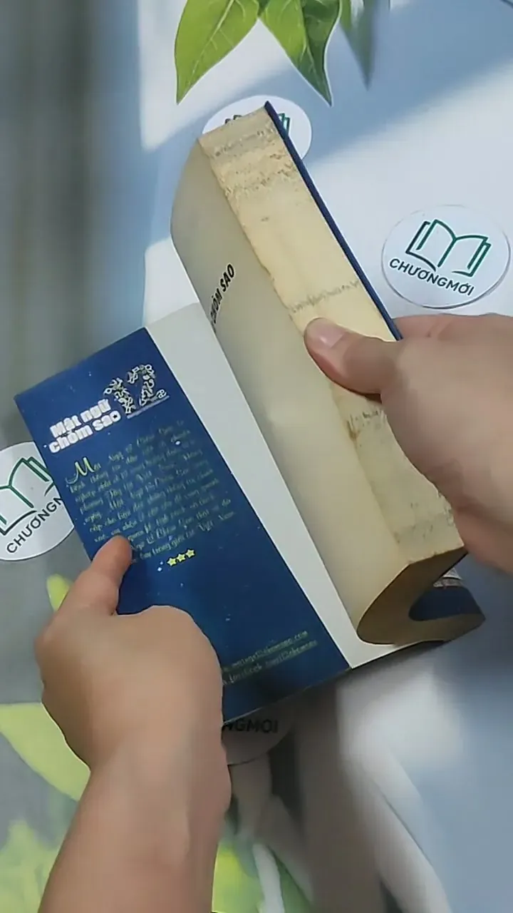 Mật ngữ 12 chòm sao - Không biết 698594