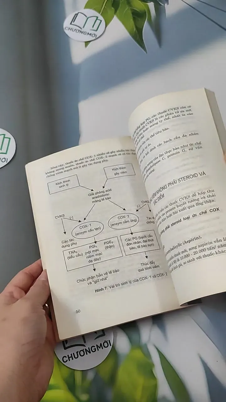 Các Thuốc Giảm Đau - Chống Viêm - PGS. TS. Đào Văn Phan 780807