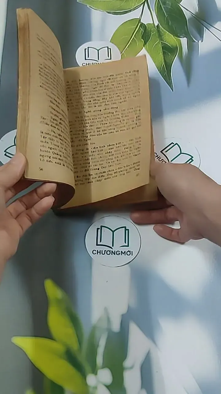 Tuổi Xanh Nguyễn Đình Chiểu (1987) - Thái Vũ 674974