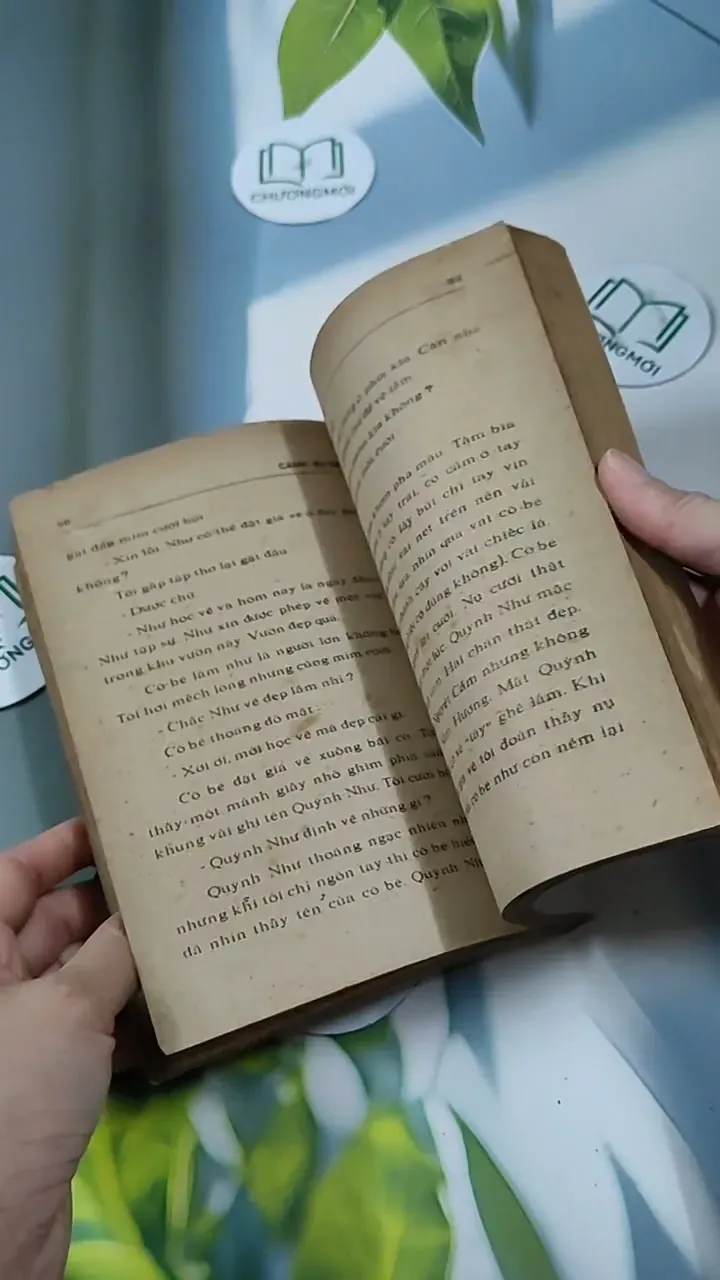 Cánh Bướm - Từ Kế Tường 713846