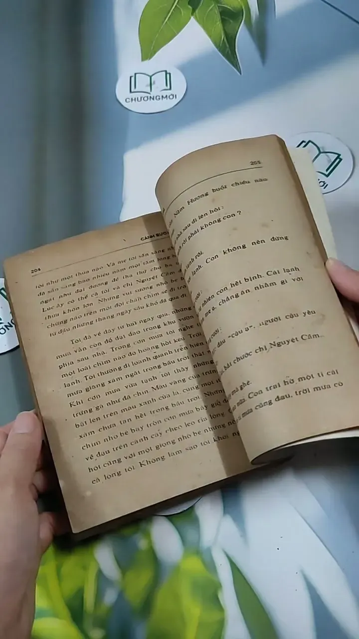 Cánh Bướm - Từ Kế Tường 713846