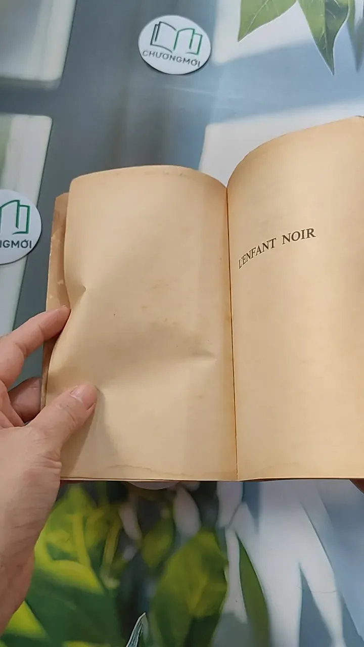 [XƯA] L'Enfant noir (1976) - Camara Laye 754448