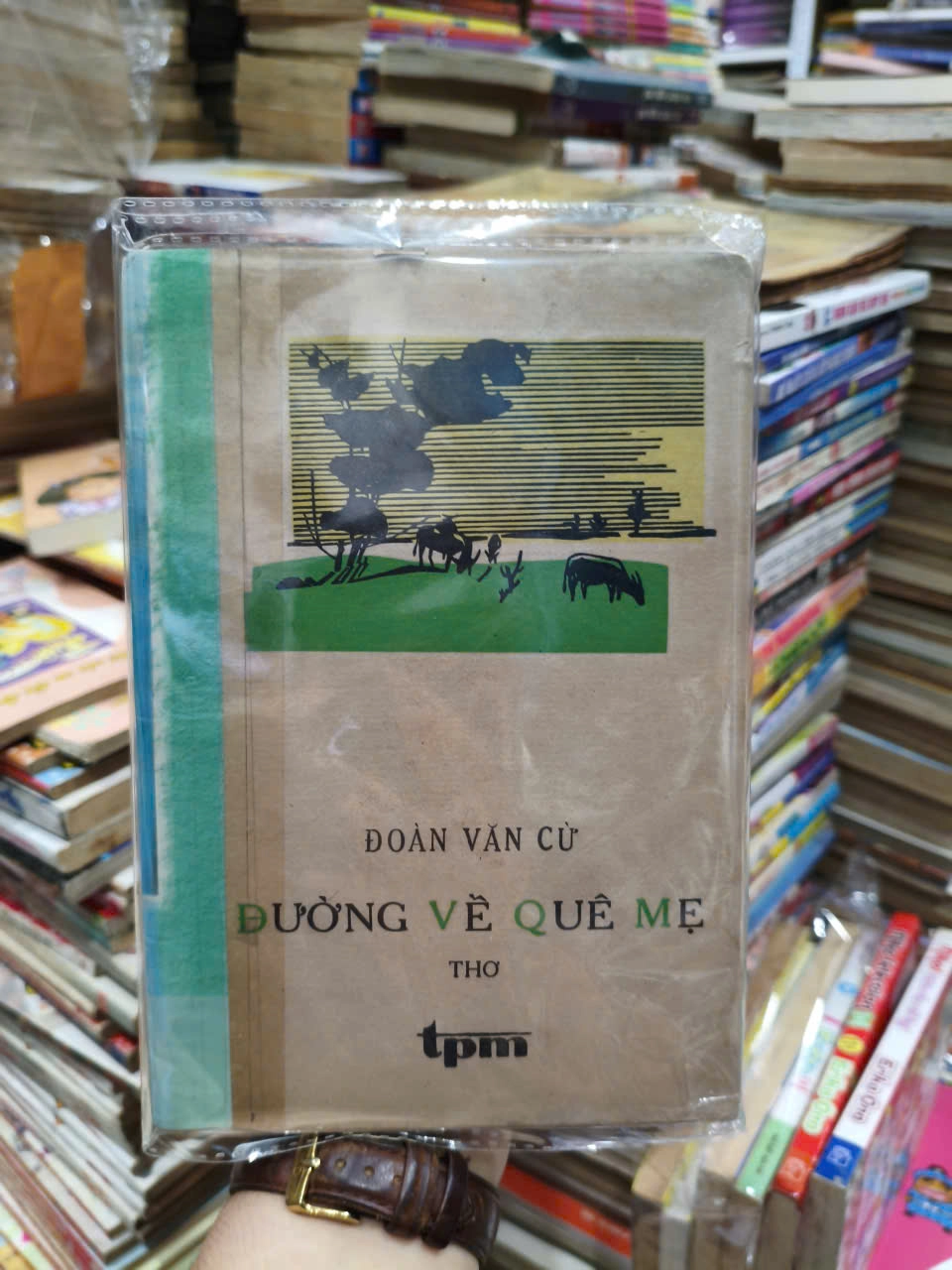 Đường Về Quê Mẹ