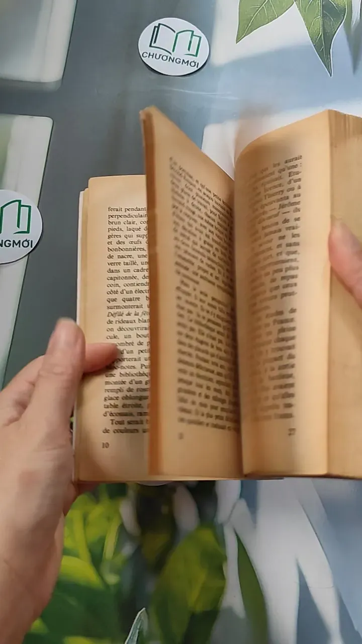 [XƯA] Les Choses (1965) - Georges Perec 754449