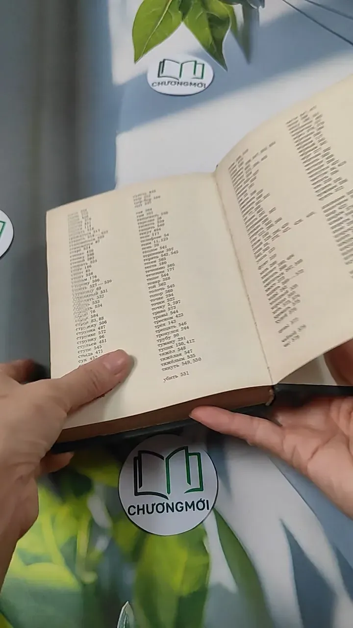 [MIỄN PHÍ BỌC SÁCH] A Book of Russian Idioms Illustrated - M.I. Dubrovin 749567