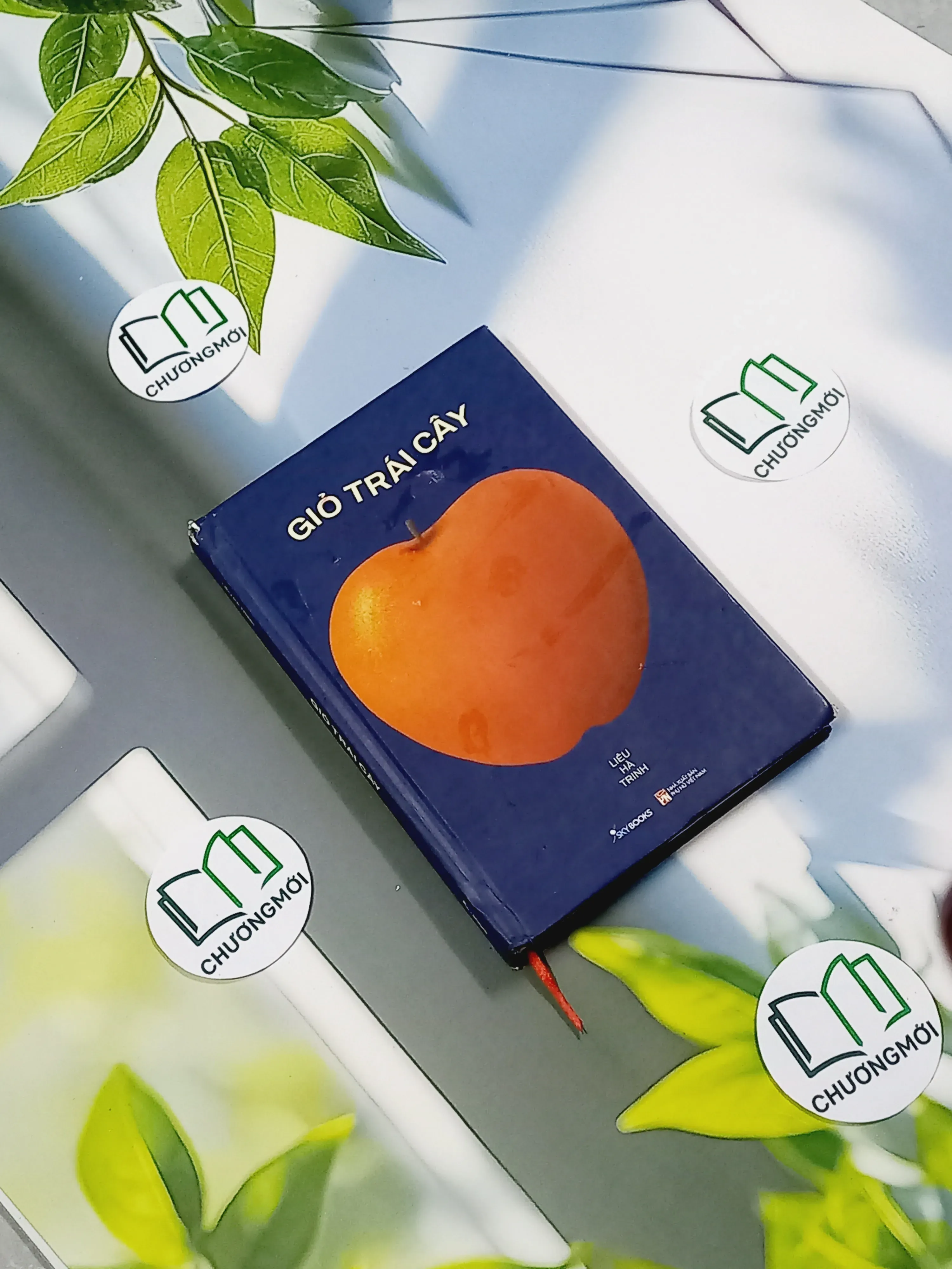 Giỏ Trái Cây - Liêu Hà Trinh