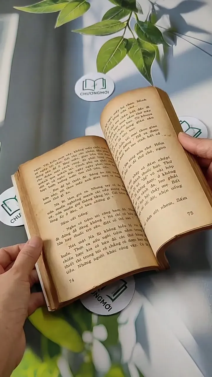 Những Người Đi Và Hai Người Ở Lại - Đinh Quang Nhã 713810