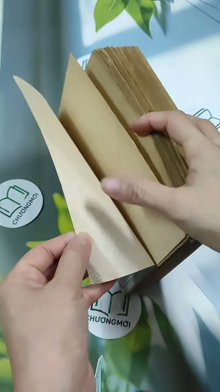 [MIỄN PHÍ BỌC SÁCH] Truyện Kiều - Nguyễn Du 705782