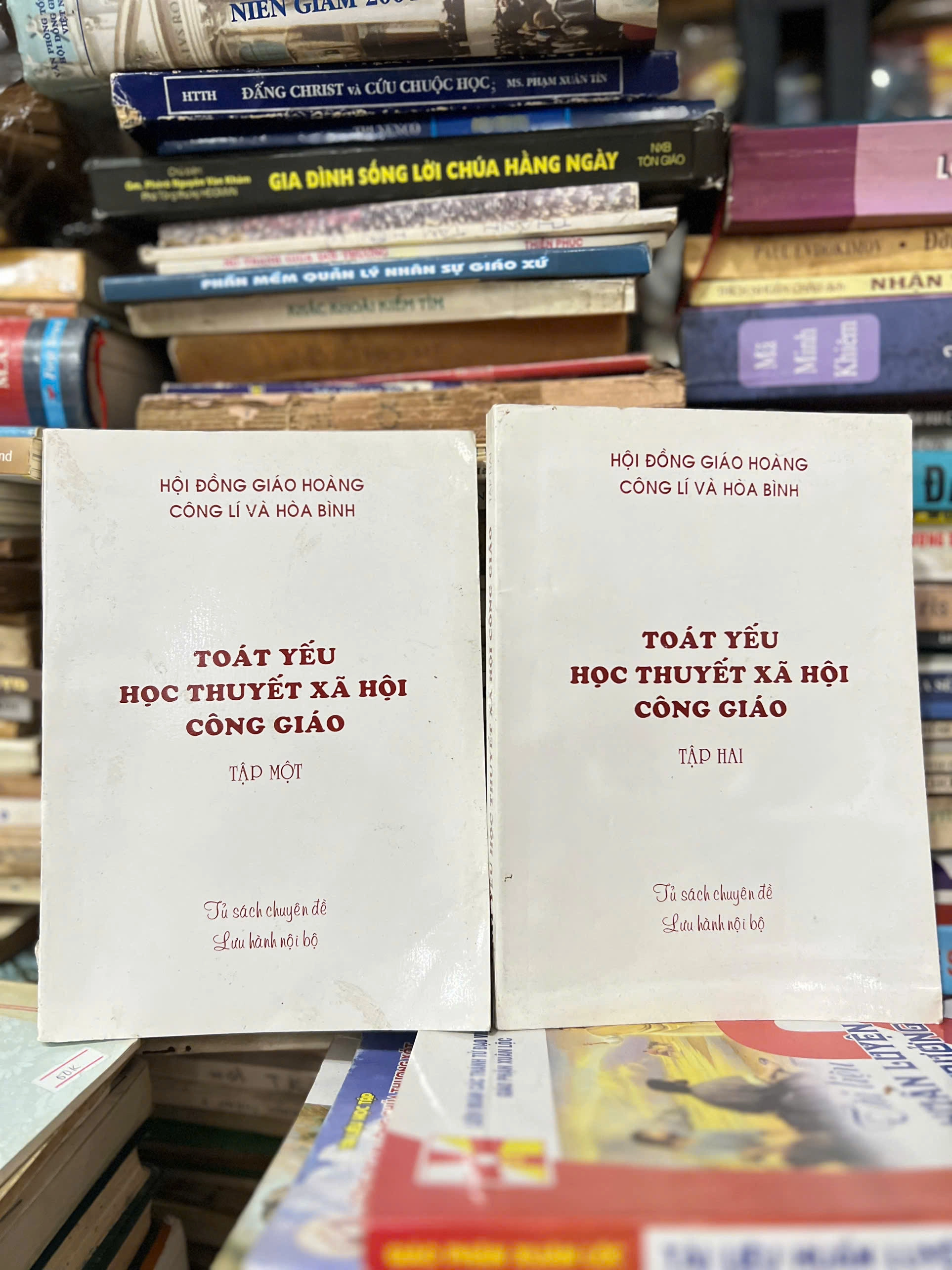 Toát yếu học thuyết xã hội Công giáo - Tập 1, 2 by  - Sách Book Cover - Ngọc Hiển Books