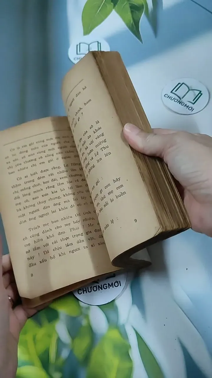 Tỳ Vết Tình Yêu - Thanh Lan 713847