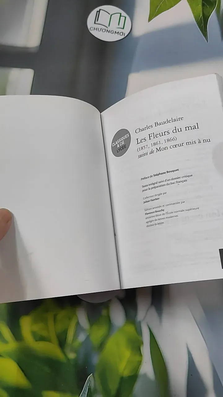 Les Fleurs du mal - Charles Baudelaire 754503