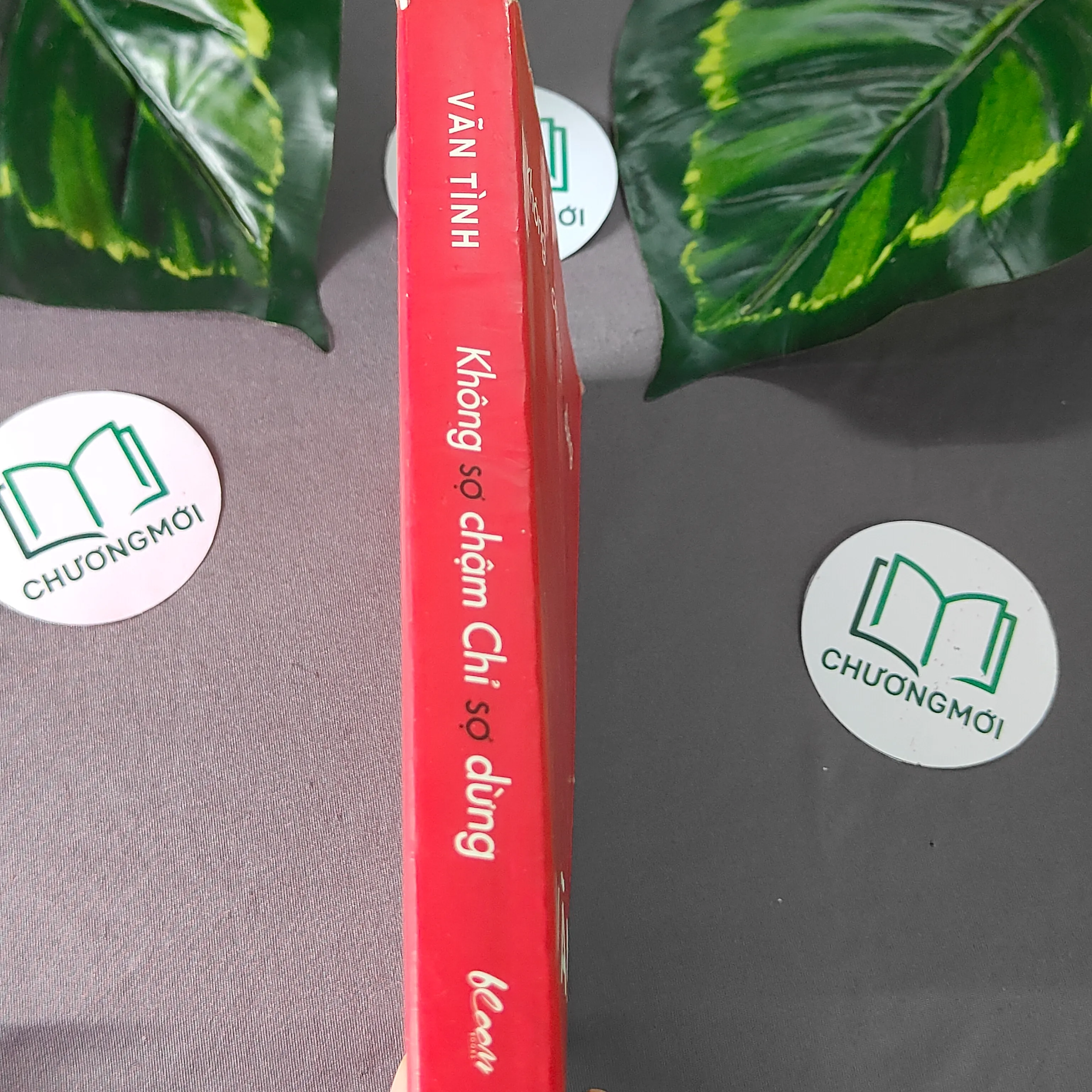 Không Sợ Chậm Chỉ Sợ Dừng (2020) - Vãn Tình 603323