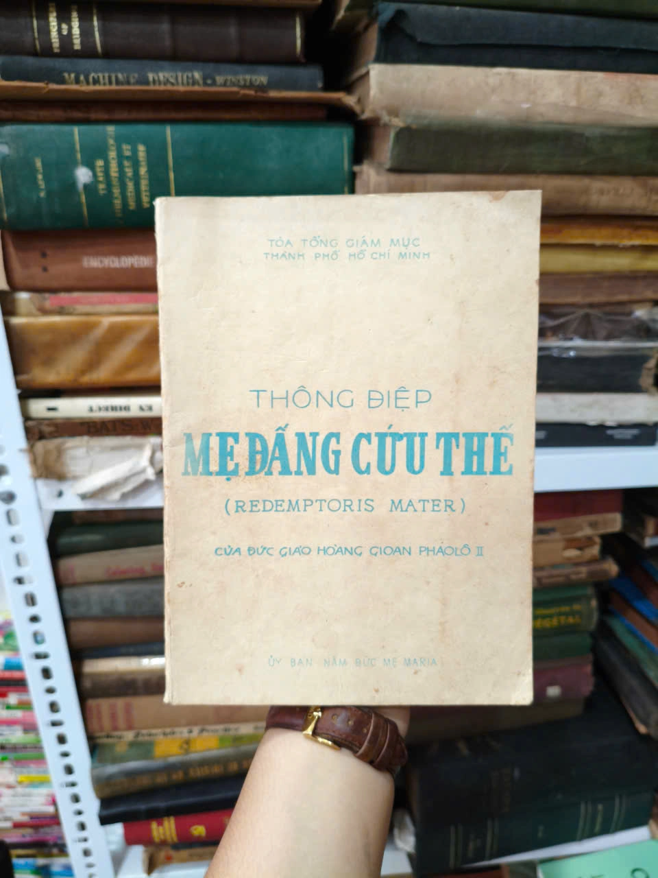 Thông Điệp Mẹ Đấng Cứu Thế by Thiếu Nhiên - Sách Book Cover - Ngọc Hiển Books