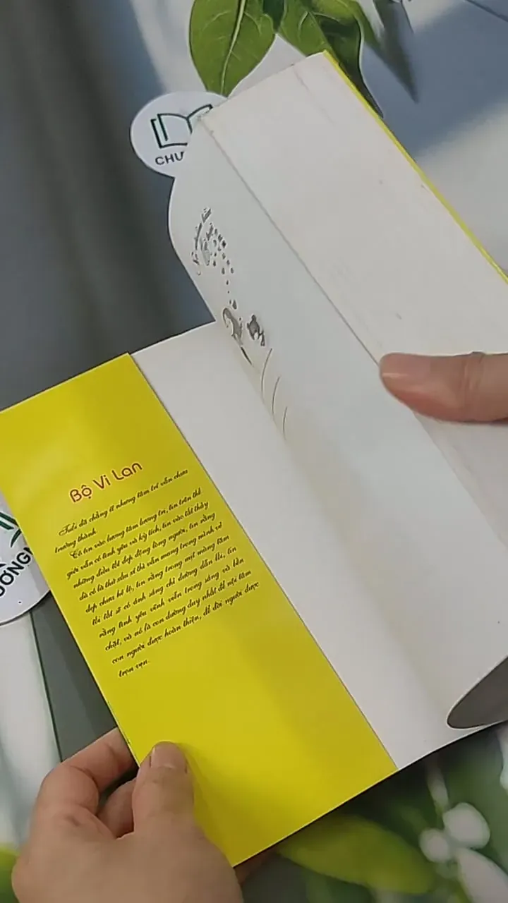 Sự Nhầm Lẫn Tai Hại - Bộ Vi Lan 705599