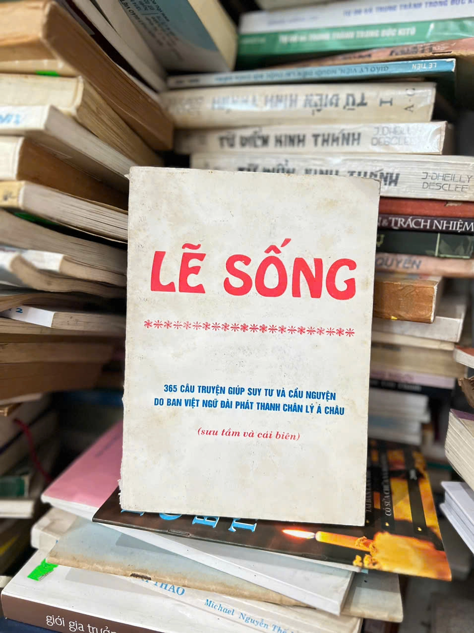 Lẽ Sống -  365 câu chuyện giúp suy tư và cầu nguyện do ban Việt ngữ đài phát thanh ... by  - Sách Book Cover - Ngọc Hiển Books