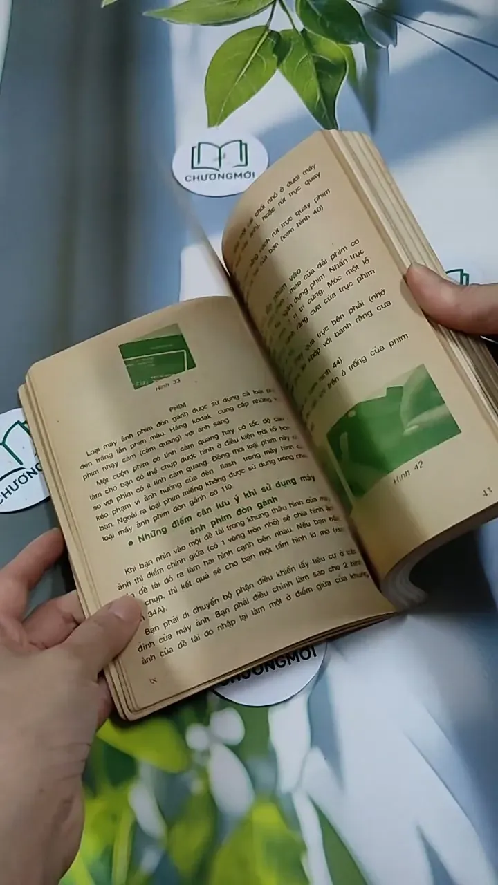 Nếu Bạn Muốn Chụp Một Tấm Hình Đẹp - Ninh Hùng 713856