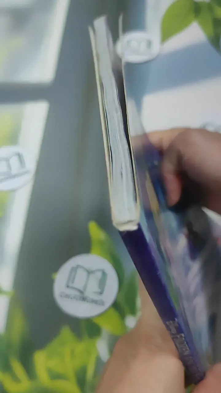 Frozen Công Chúa Băng Tuyết 727375