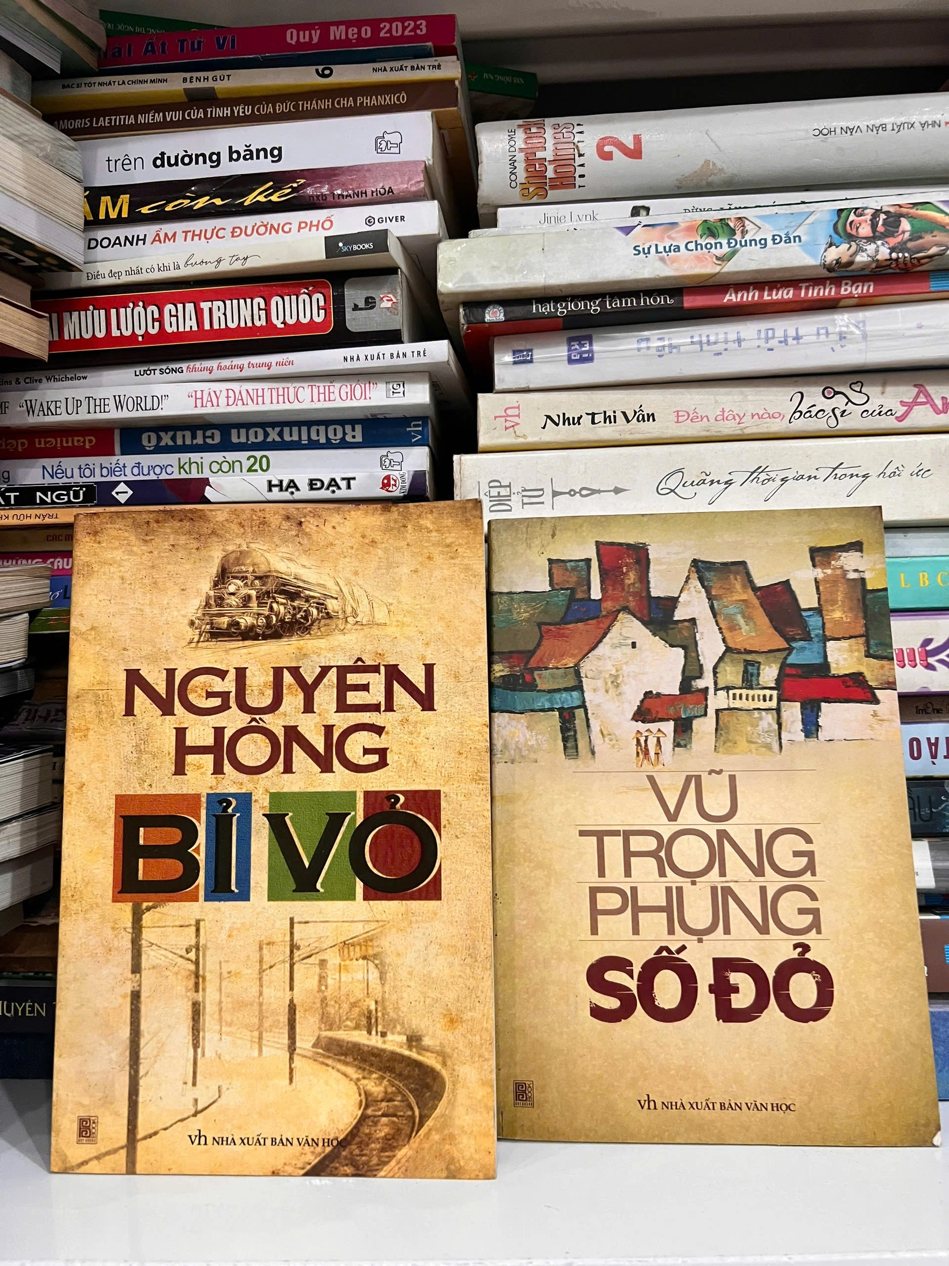 Bỉ Vỏ - Nguyên Hồng/  Số Đỏ - Vũ Trọng Phụng by  - Sách Book Cover - Ngọc Hiển Books