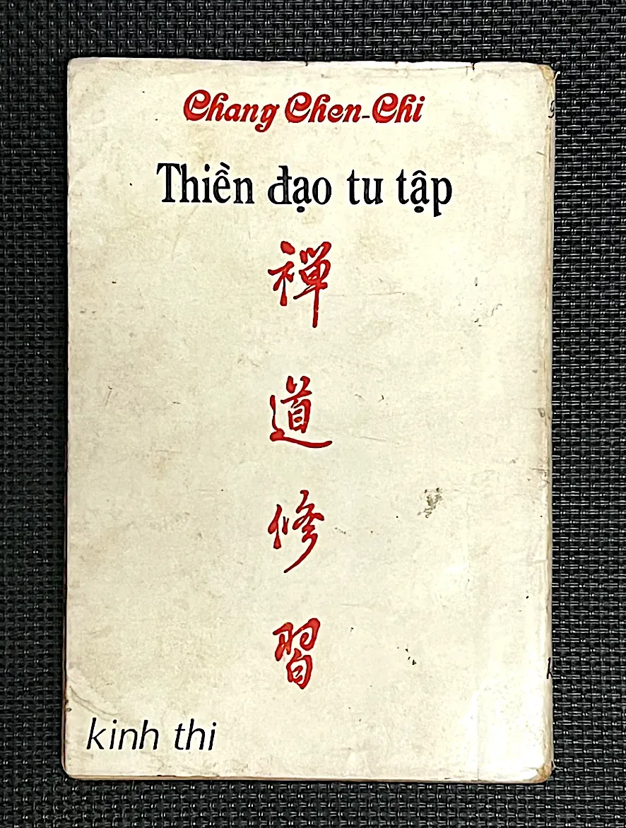 NGƯỜI LỮ HÀNH CÔ ĐƠN ( C.V. GHEORGHIU) 997306