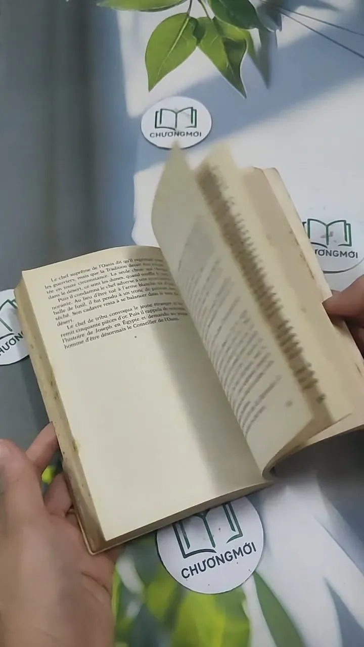 L'Alchimiste - Paulo Coelho 715635