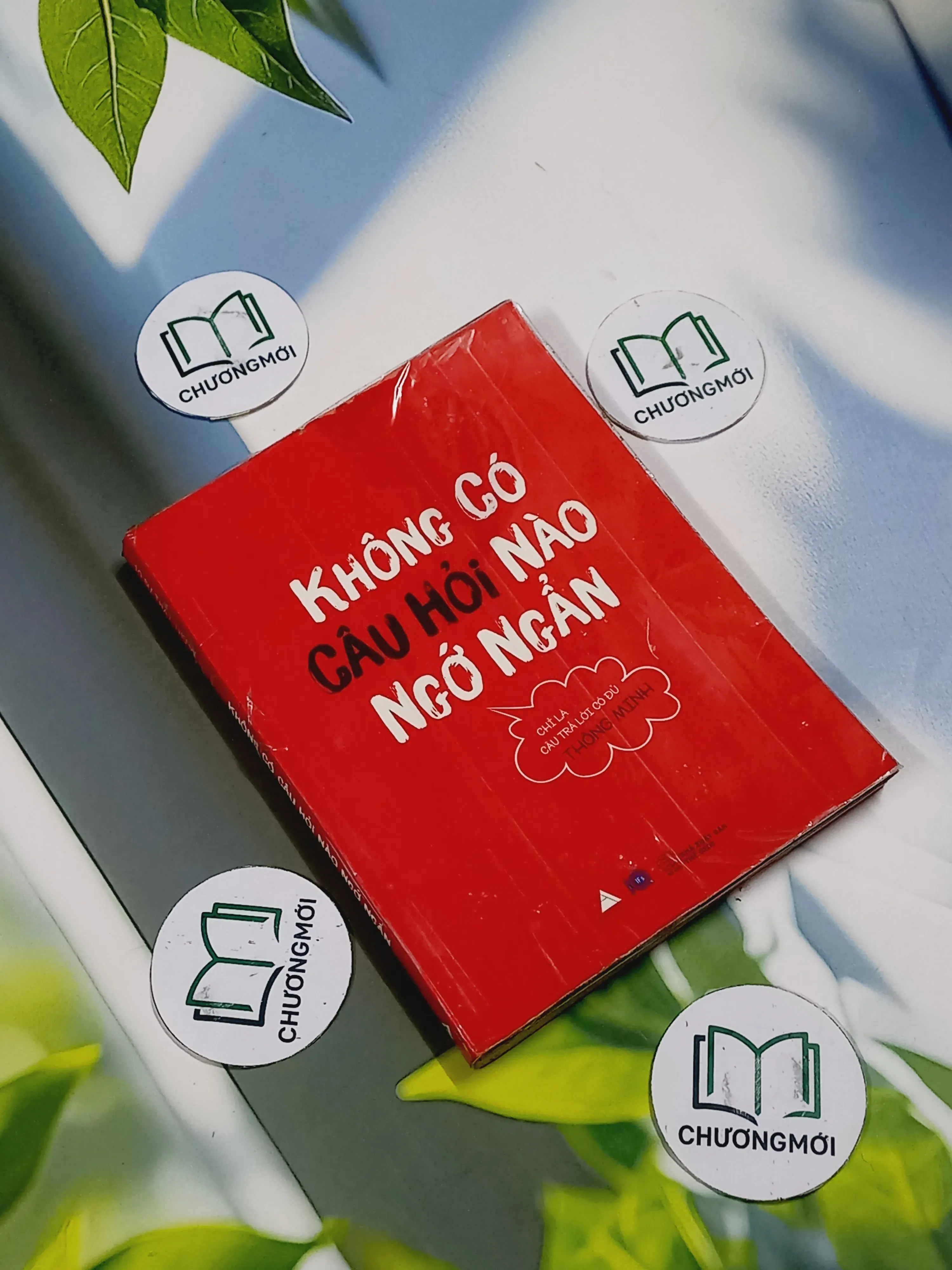 Không Có Câu Hỏi Nào Ngớ Ngẩn