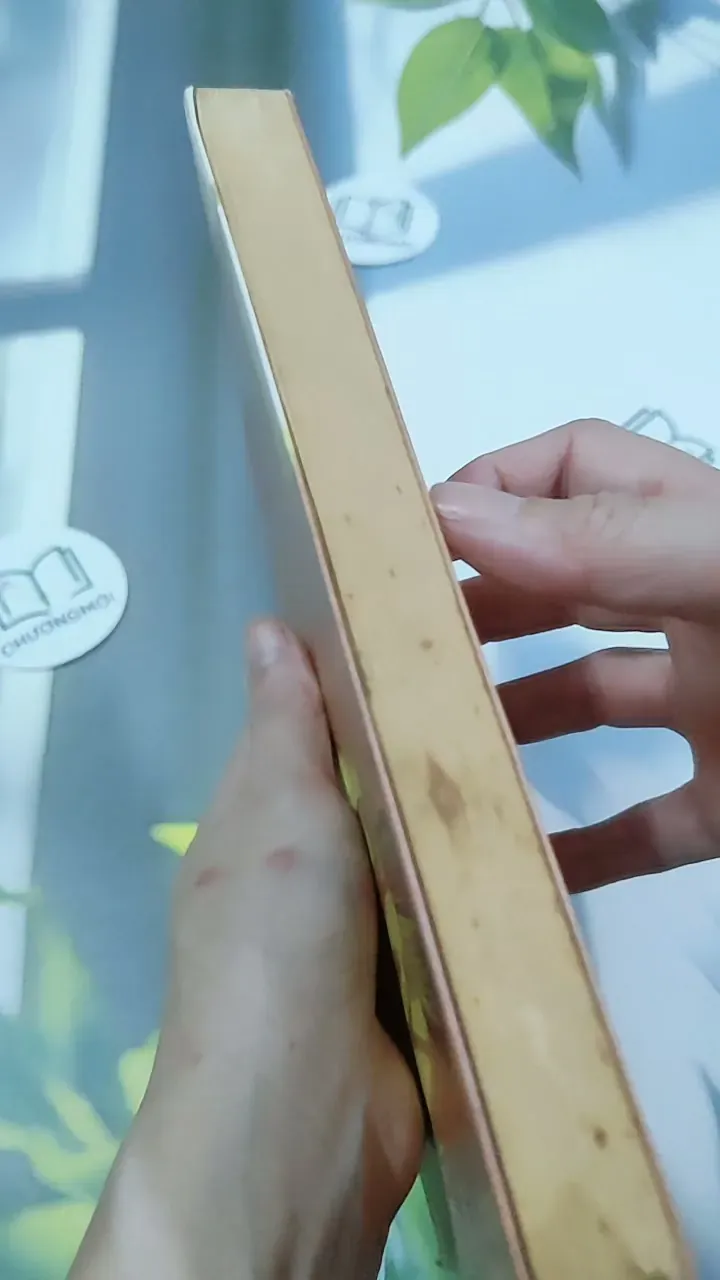 Nợ Em Một Vòng Tay 744713