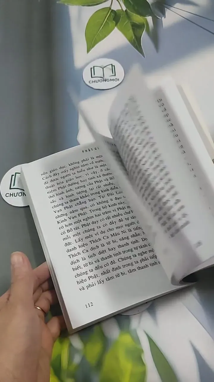 Phật Giáo Là Gì? 715592