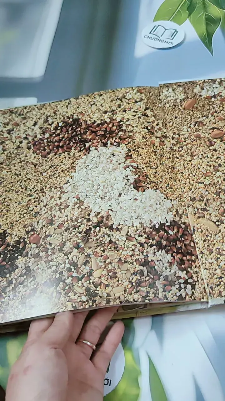 [Tặng nẹp góc] Truyện thiếu nhi Hàn Quốc: Moyamo Anu 56 -  모야모 아누와: 카멜레온에게 혼쭐난 아난시 732060