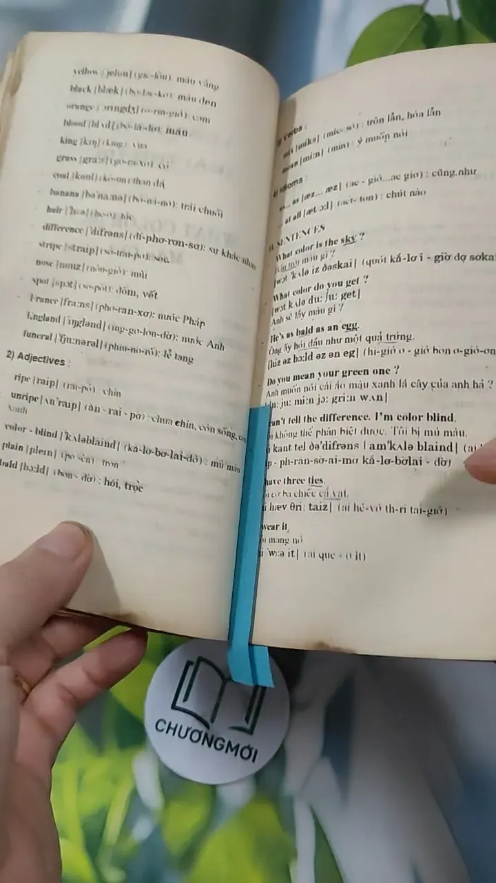 Tiếng Anh Thực Dụng Dễ Học 727293