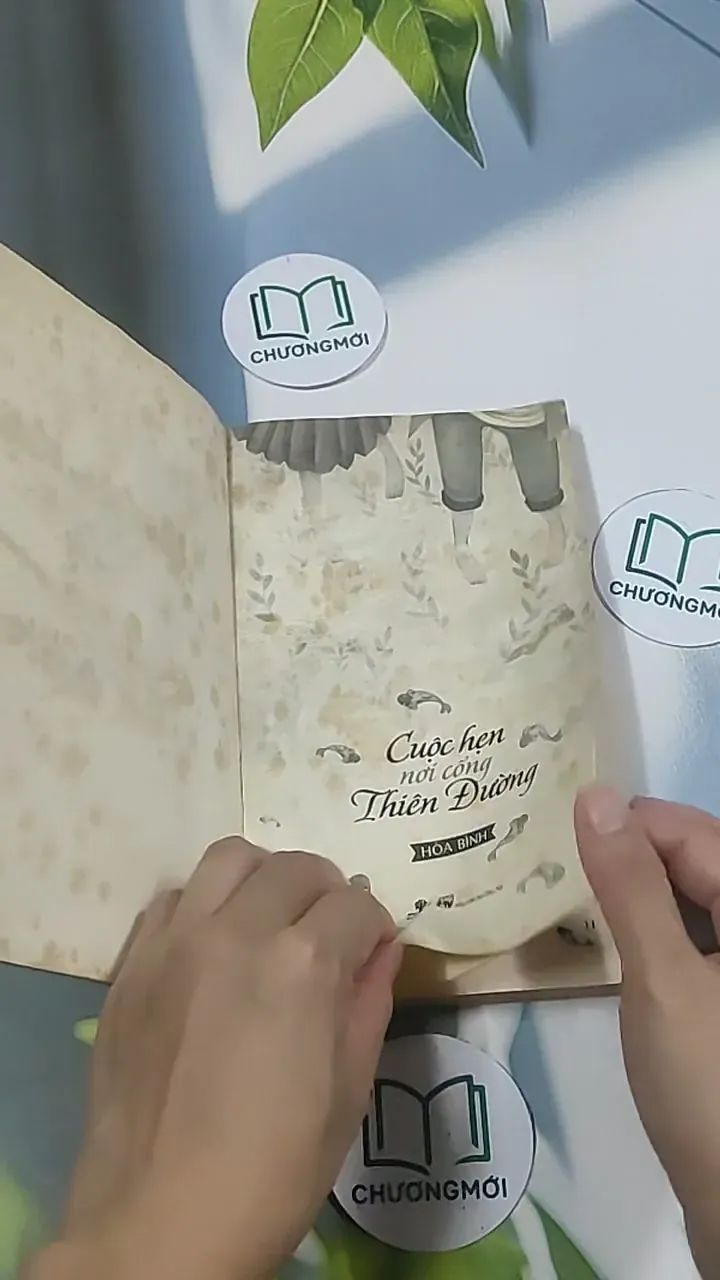 Cuộc hẹn nơi cổng thiên đường - Hòa Bình 694985