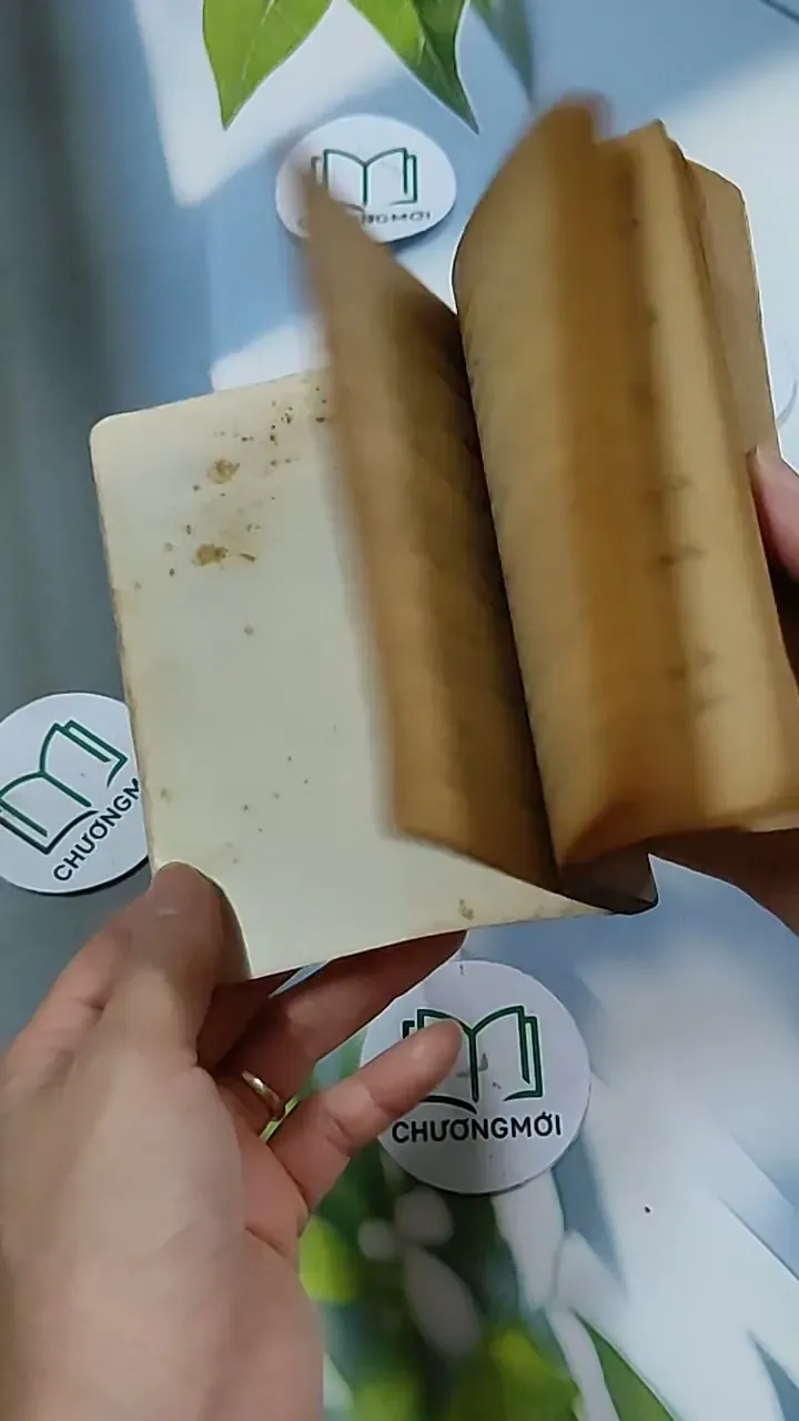 Cô Bé Hoả Tinh - Phượng Duy 703147