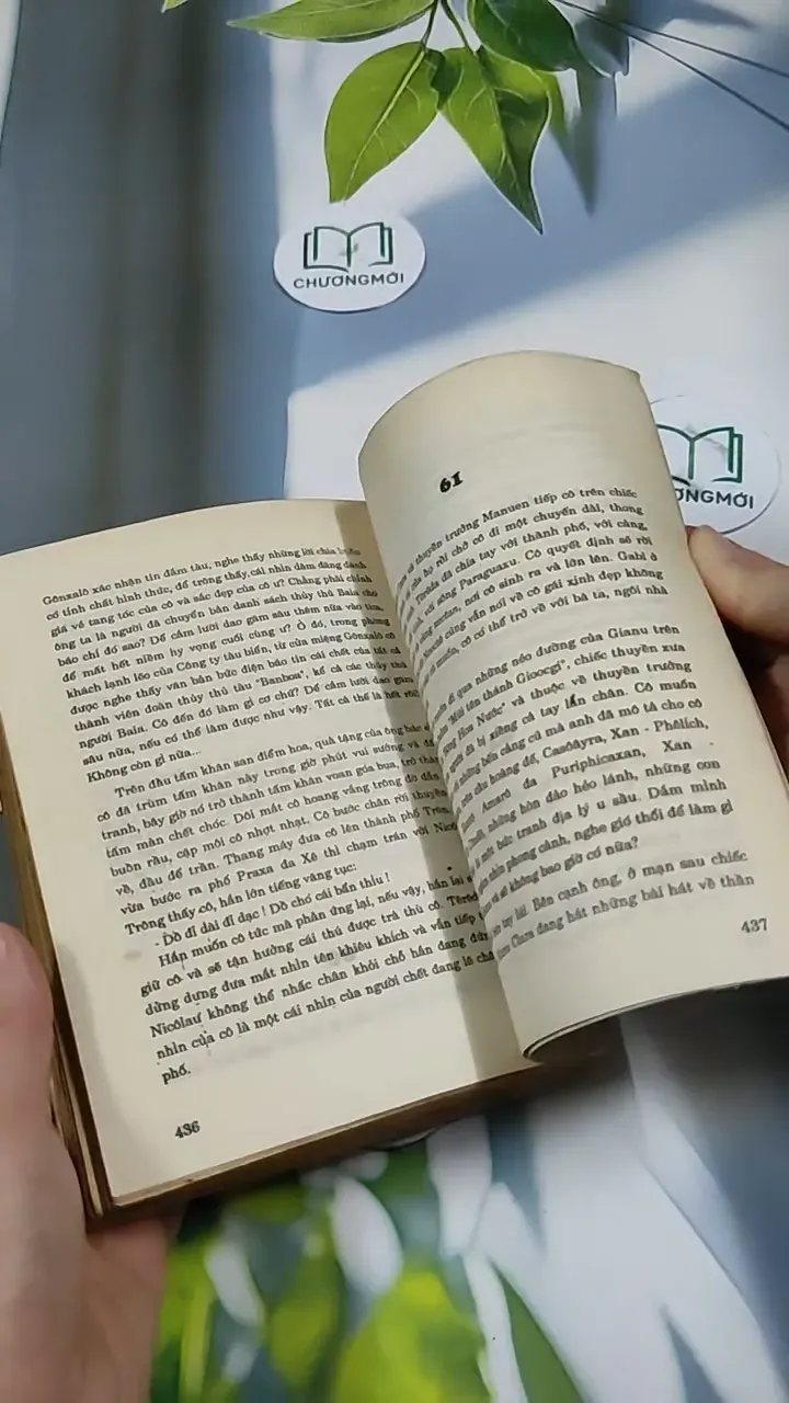 TêRêDa - G. AMaĐô 713871