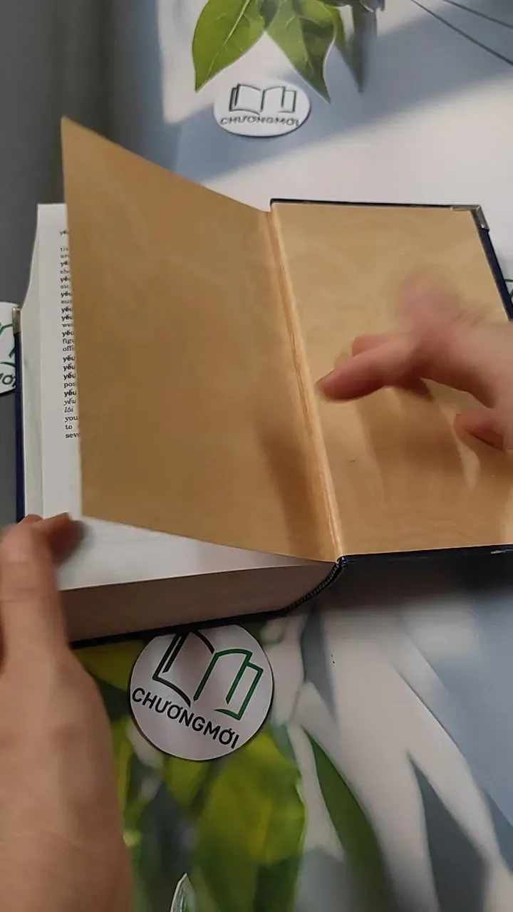 Từ Điển Việt - Anh 749584