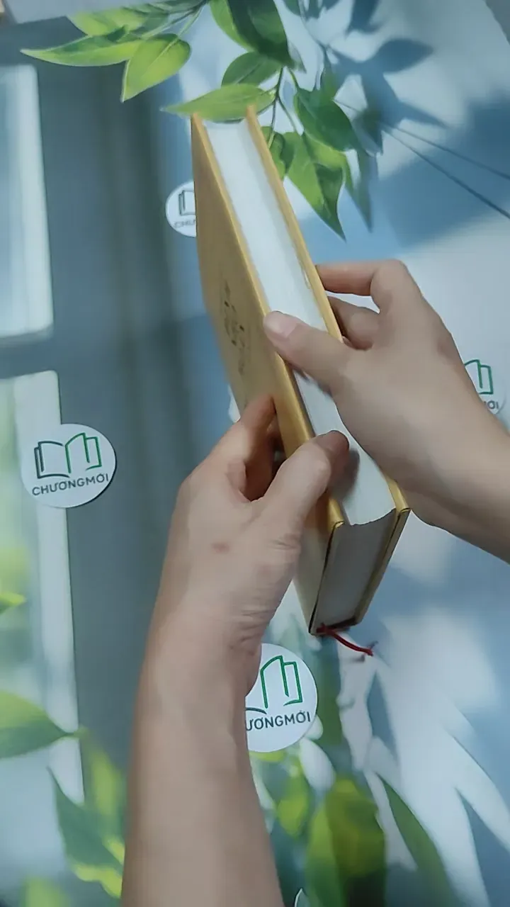 [MIỄN PHÍ BỌC SÁCH] Đinh Nho Hoàn: Thân Thế Và Sự Nghiệp - Hoàng Giáp 750797