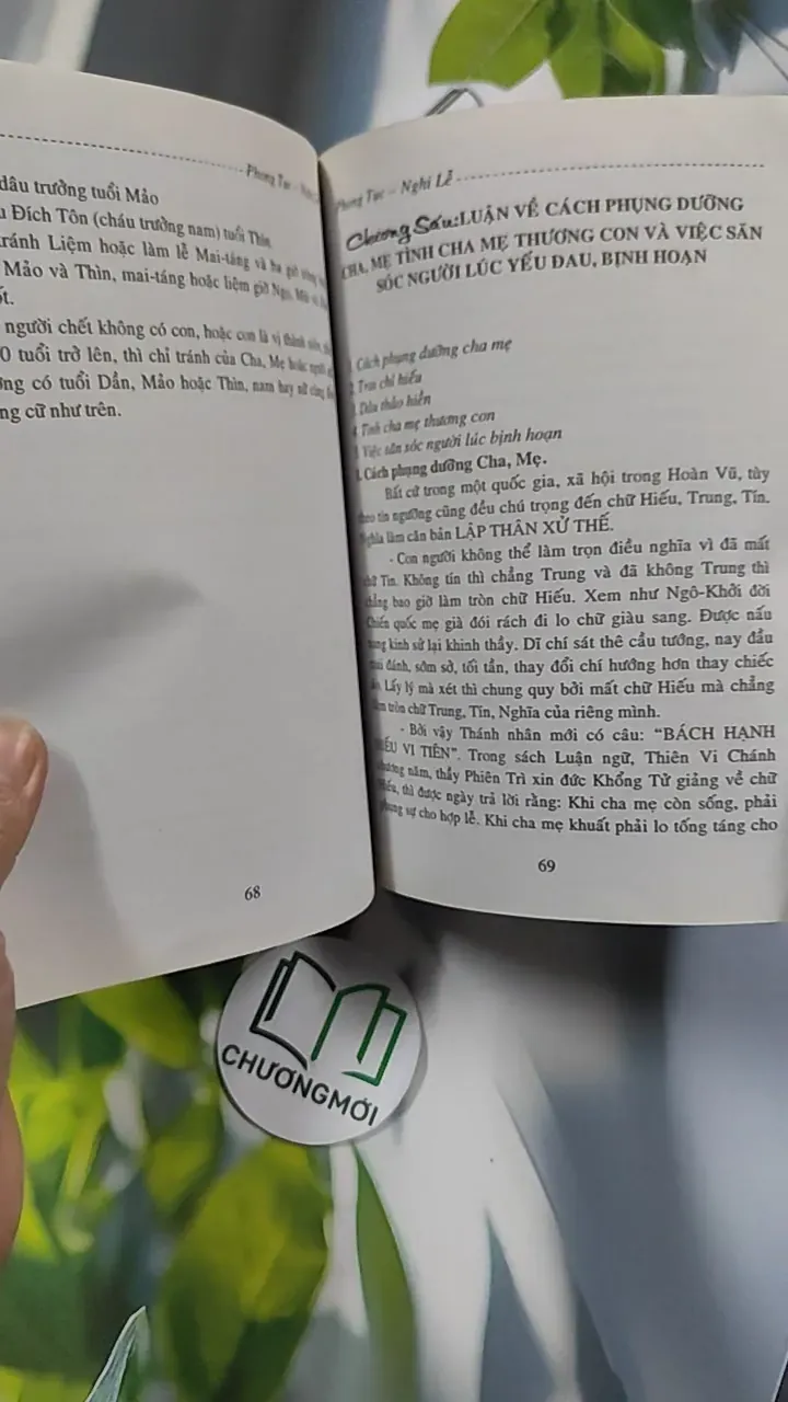 Phong Tục Nghi Lễ Thọ Mai Gia Lễ - Nguyên Quân - Hoàng Long 776189