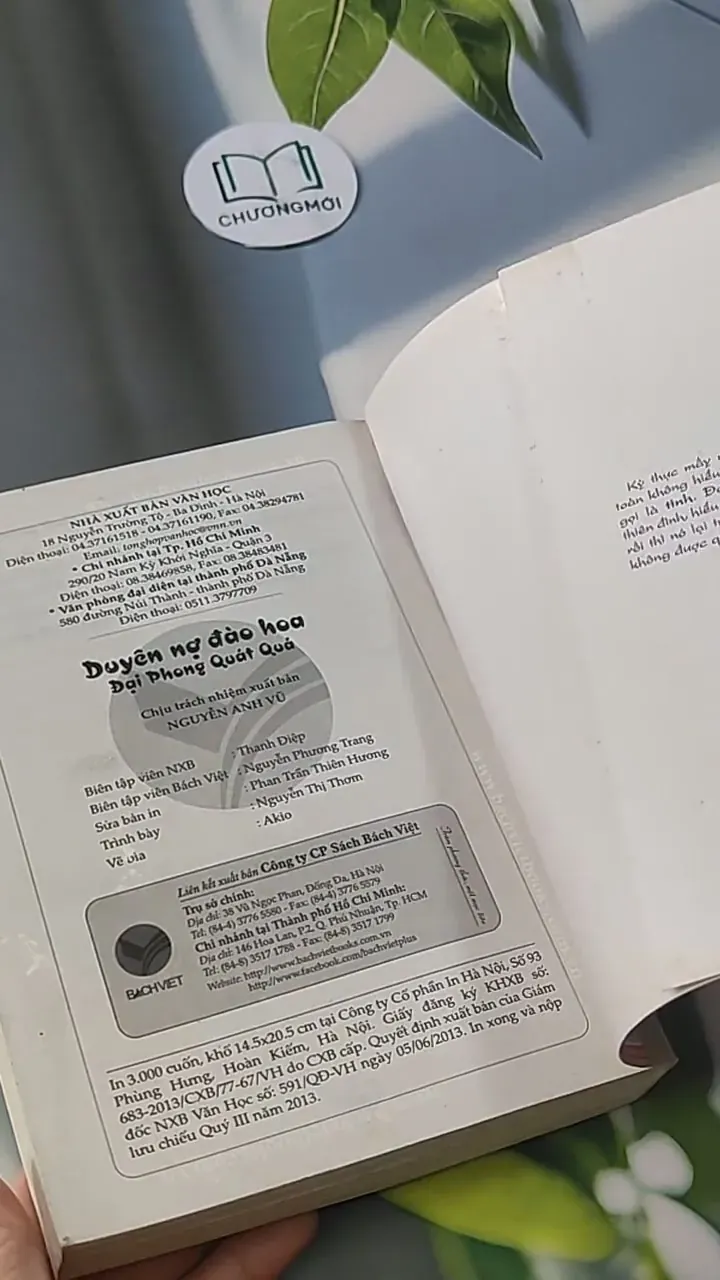 Duyên Nợ Đào Hoa - Đại Phong Quát Quá 705600