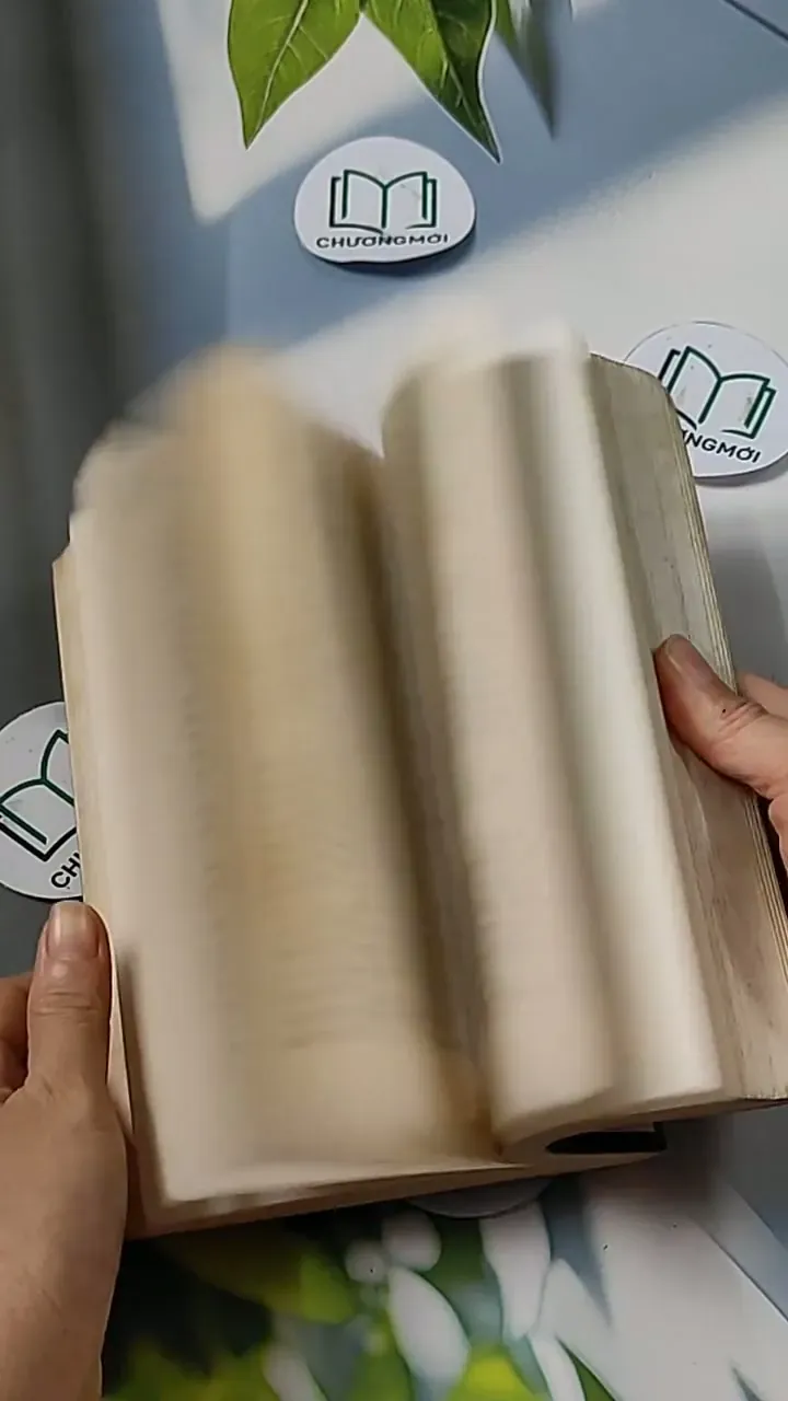 [MIỄN PHÍ BỌC SÁCH] Girl with a Pearl Earring - Tracy Chevalier 703101