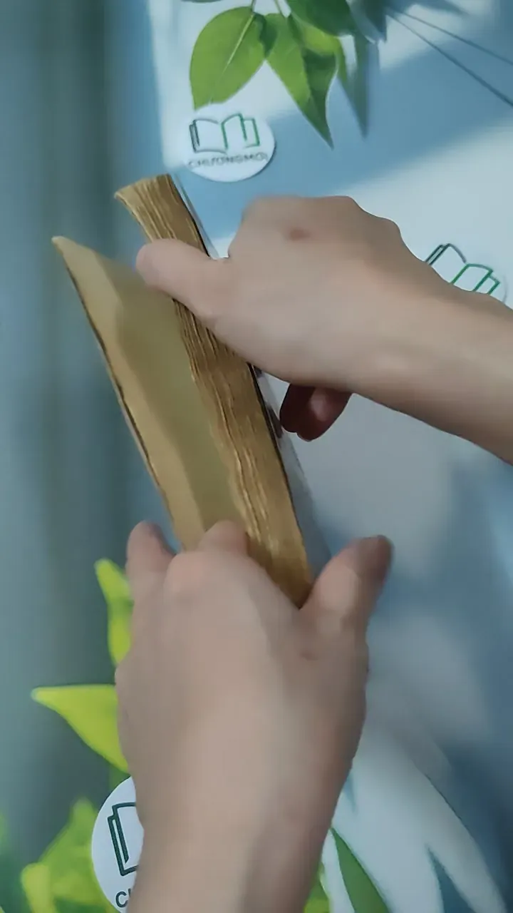 [XƯA] Món Ăn Bài Thuốc 1 (1996) - Bùi Kim Tùng 780839