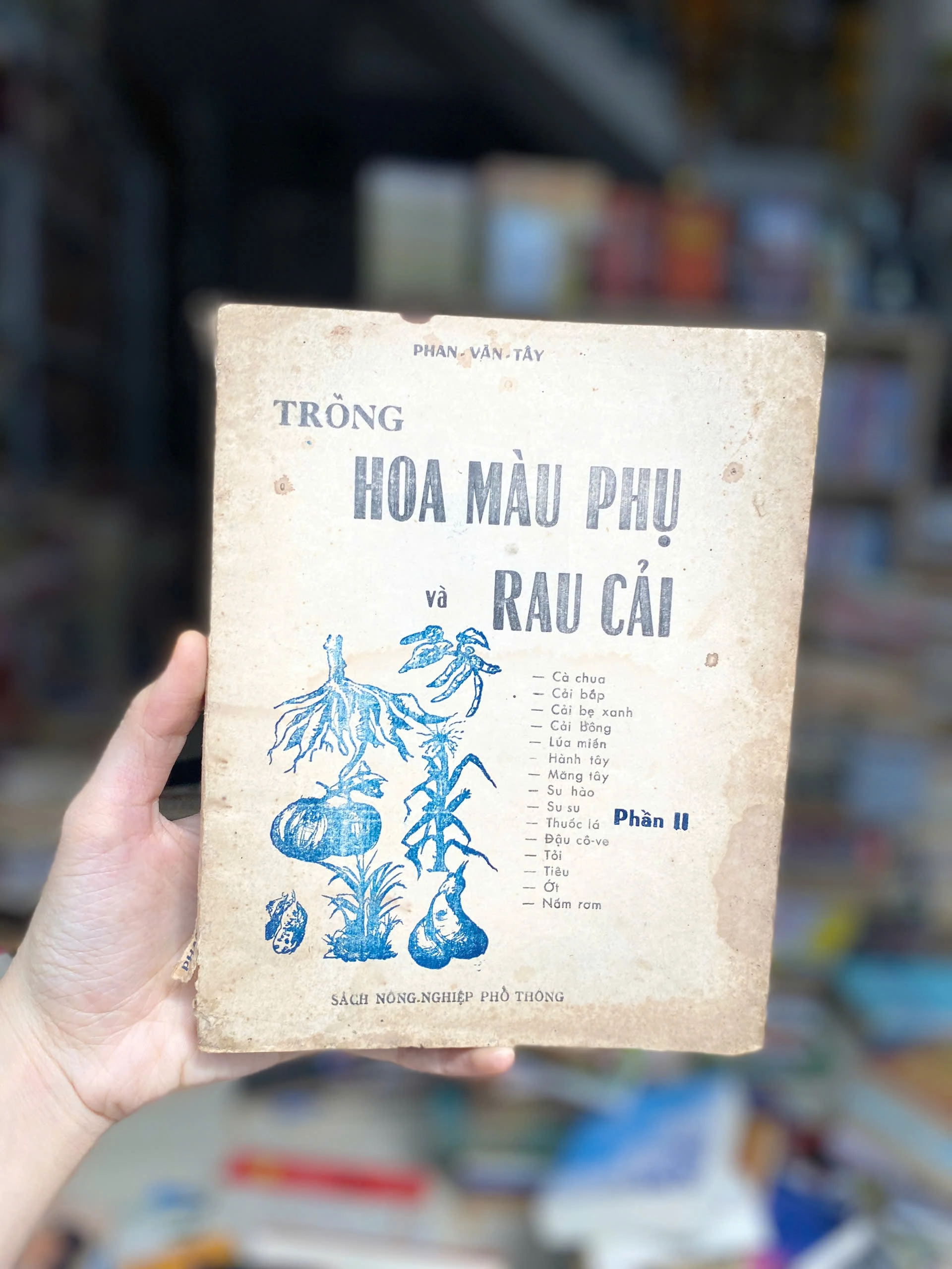Trồng Hoa Màu Phụ Và Rau Cải by  - Sách Book Cover - Ngọc Hiển Books