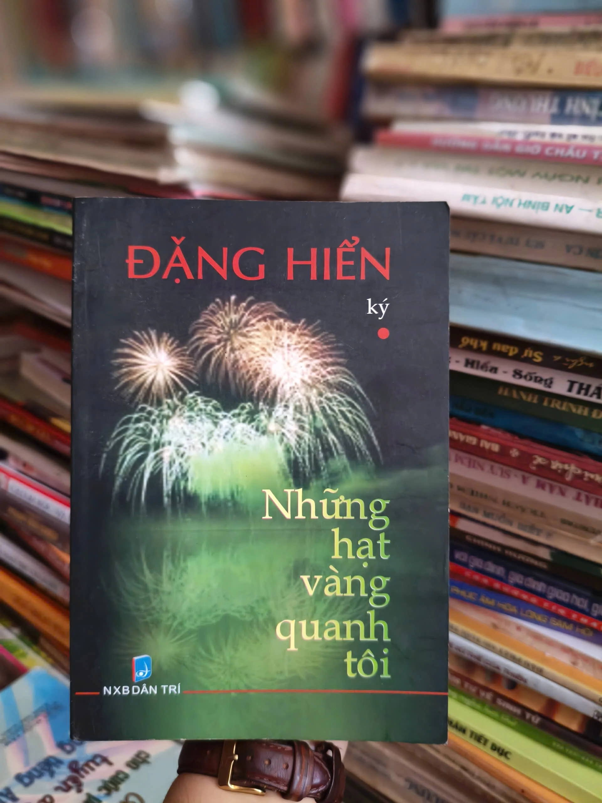 Những hạt vàng quanh tôi - Đặng Hiển by  - Sách Book Cover - Ngọc Hiển Books