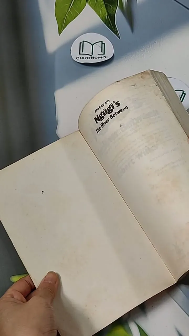 Notes on Ngũgĩ's The River Between - Robert Wilks 703115