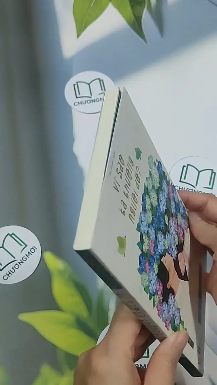 Vì sao ta thương người đó - Huy Hải 694987