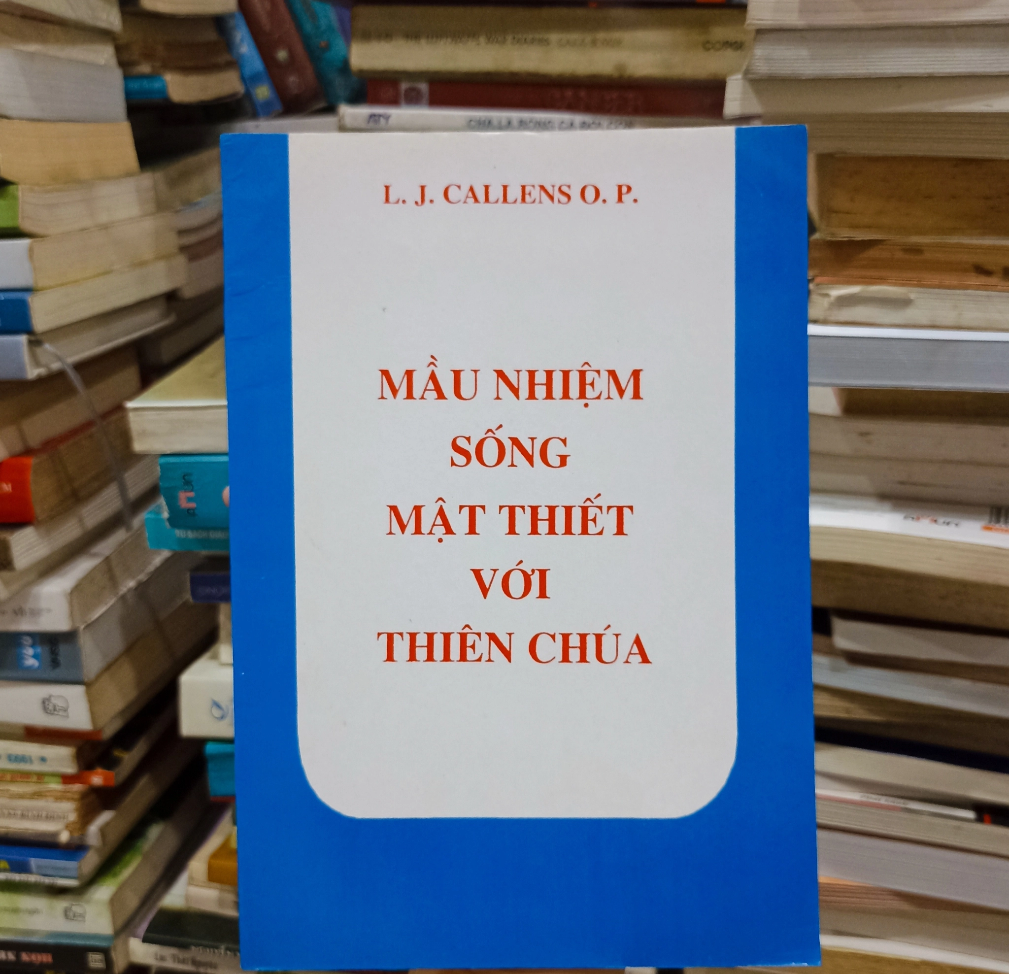 Mầu nhiệm sống mật thiết với thiên chúa 🌻 by  - Sách Book Cover - Ngọc Hiển Books