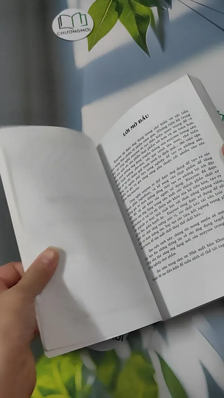 Ứng Dụng Enzyme Trong Công Nghiệp Thực Phẩm - Hoàng Kim Anh & Trần Ngọc Hiếu 780872