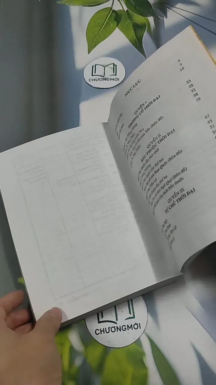 Việt Nam Sử Lược 715609