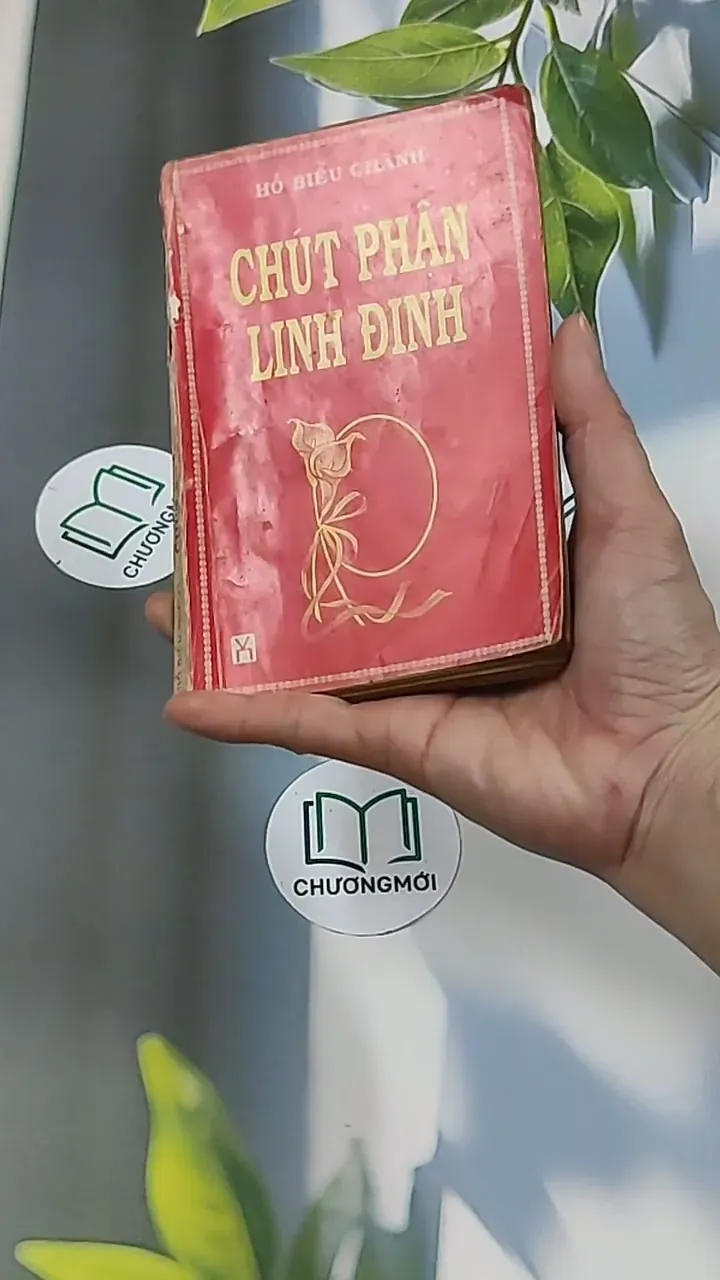 Chút Phận Linh Đinh (1996) - Hồ Biểu Chánh 674979