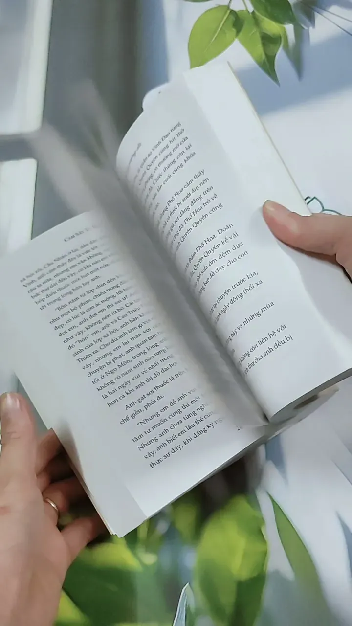 Giường Đơn Hay Giường Đôi - Cầm Sắt Tỳ Bà 744730