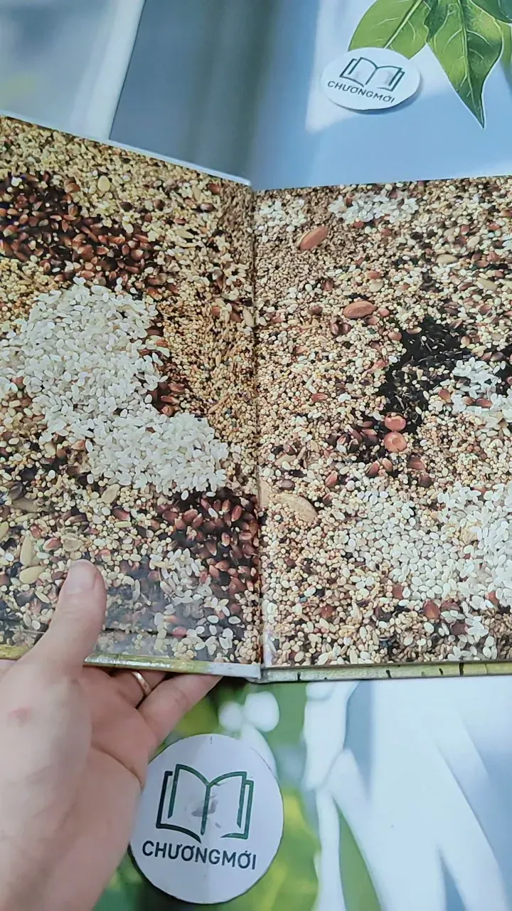 [Tặng nẹp góc] Truyện thiếu nhi Hàn Quốc: Moyamo Anu 56 -  모야모 아누와: 카멜레온에게 혼쭐난 아난시 732060