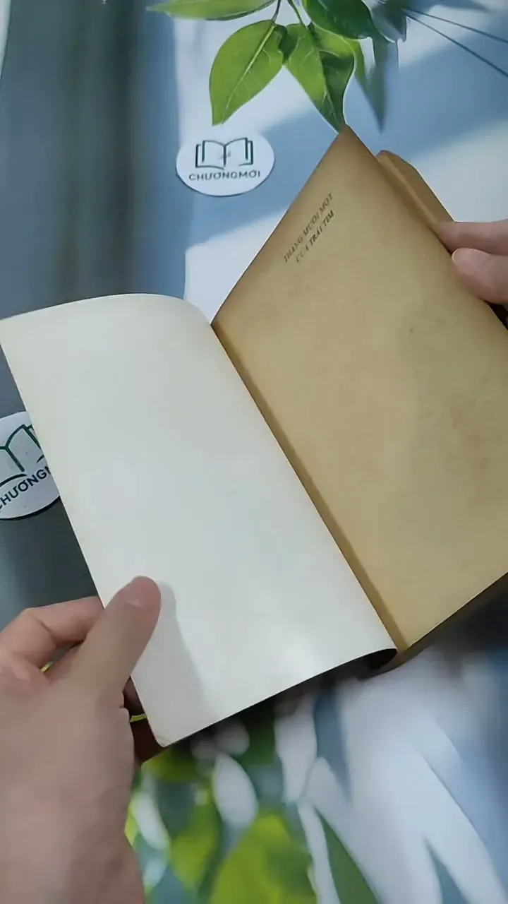 Tháng Mười Một Của Trái Tim (tập 2) - Lavyrie Spencer 713895